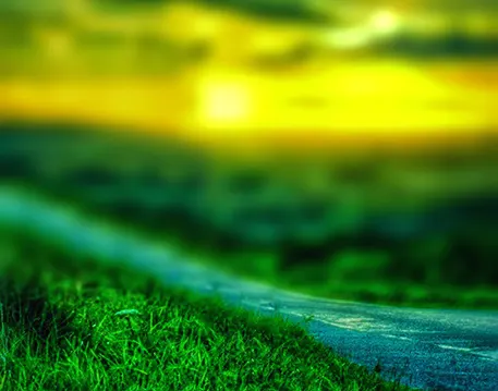 Nature Editing Background